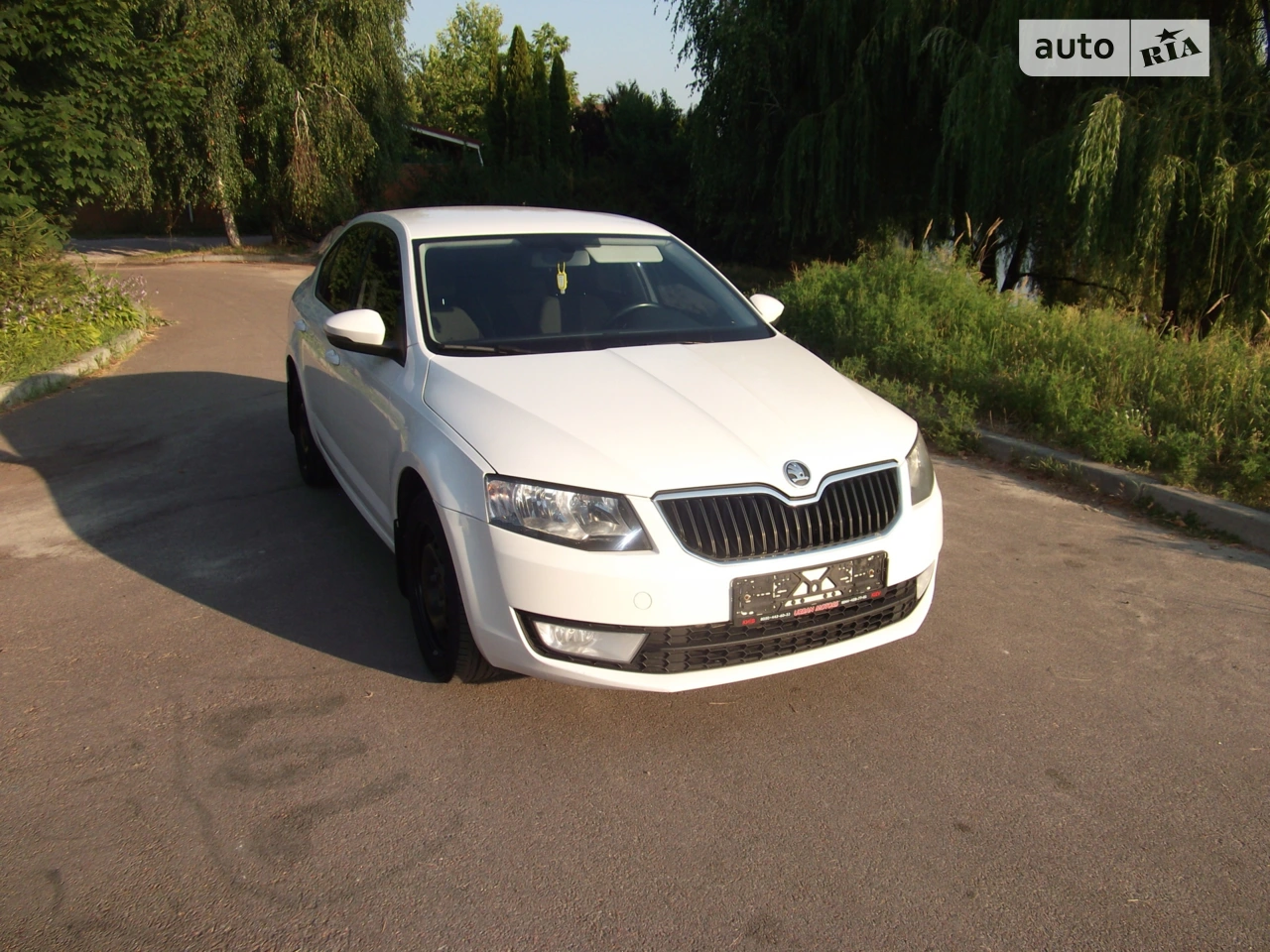 2014 Skoda Octavia - мініатюра 24