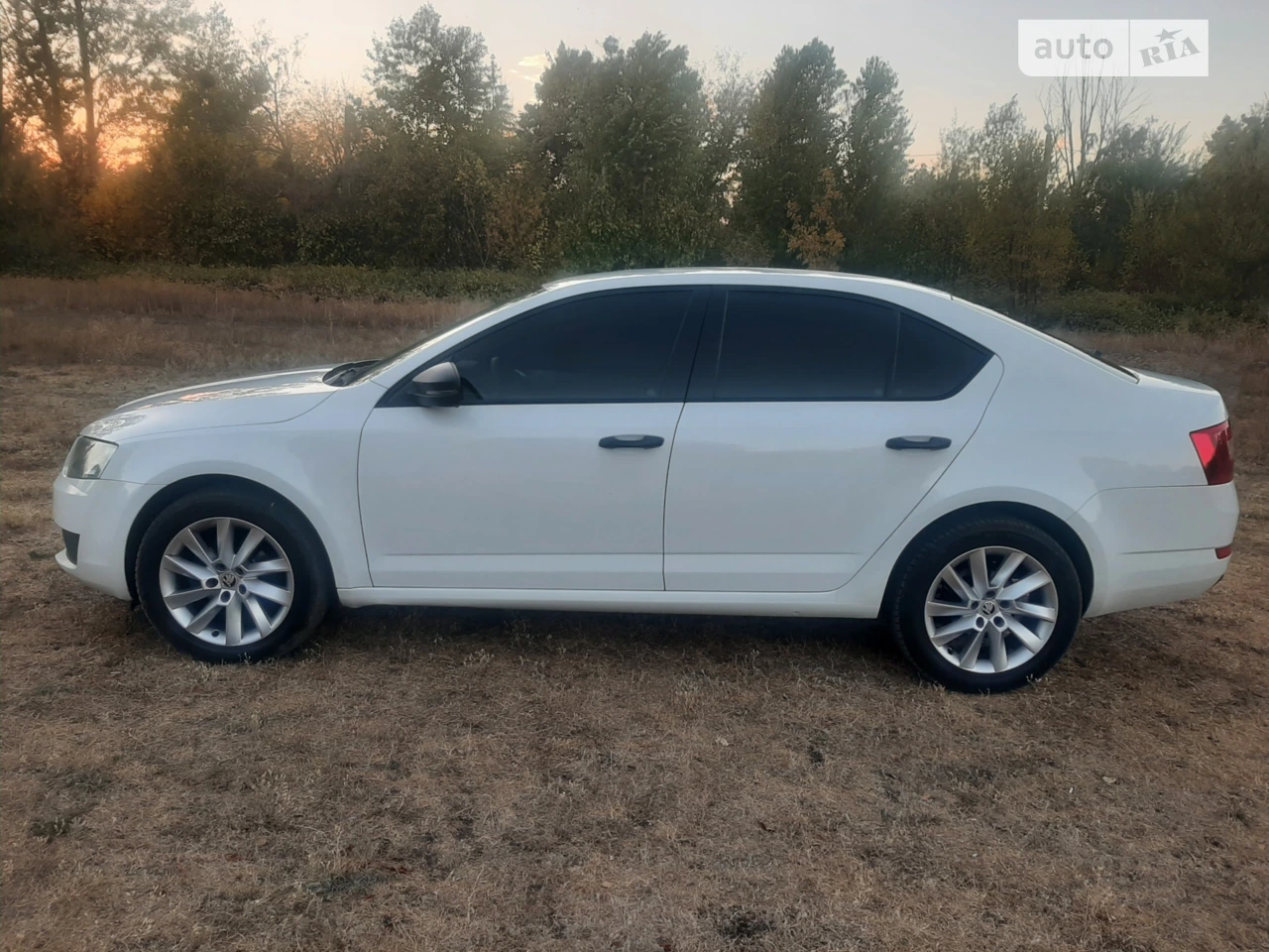 2014 Skoda Octavia - мініатюра 12