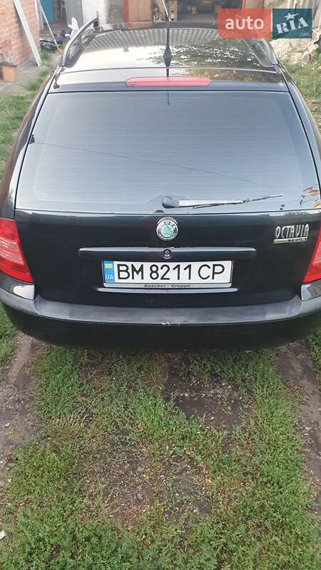 Универсал Skoda Octavia 2009 в Белополье