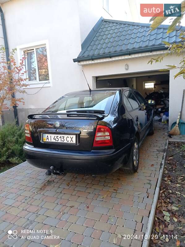 Лифтбек Skoda Octavia 2009 в 