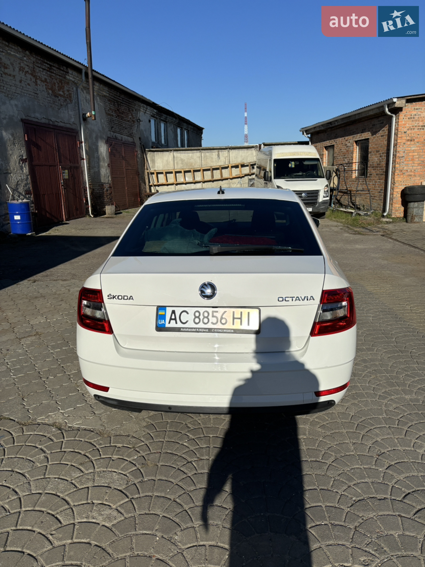 2019 Skoda Octavia - мініатюра 4