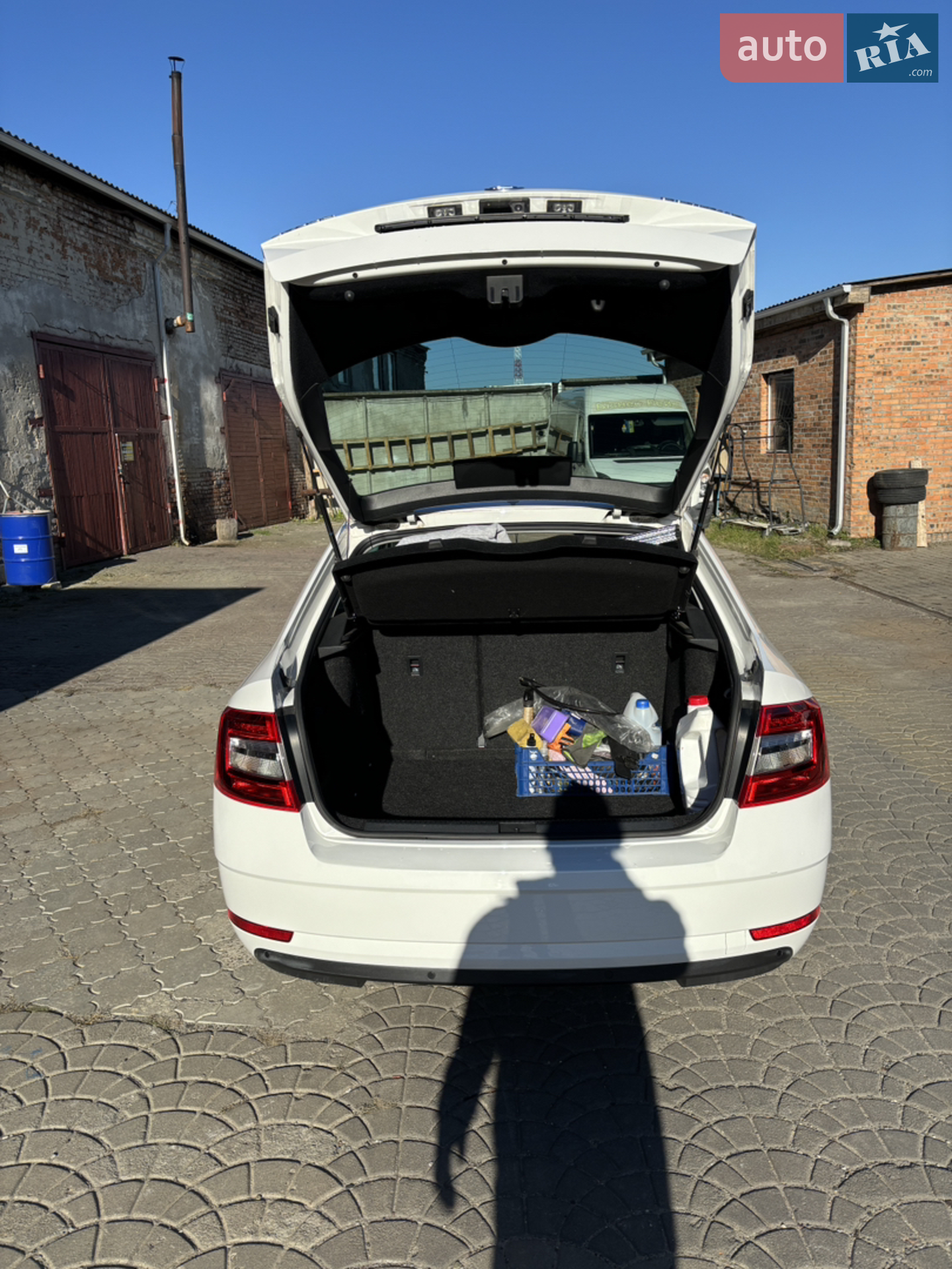 2019 Skoda Octavia - мініатюра 10