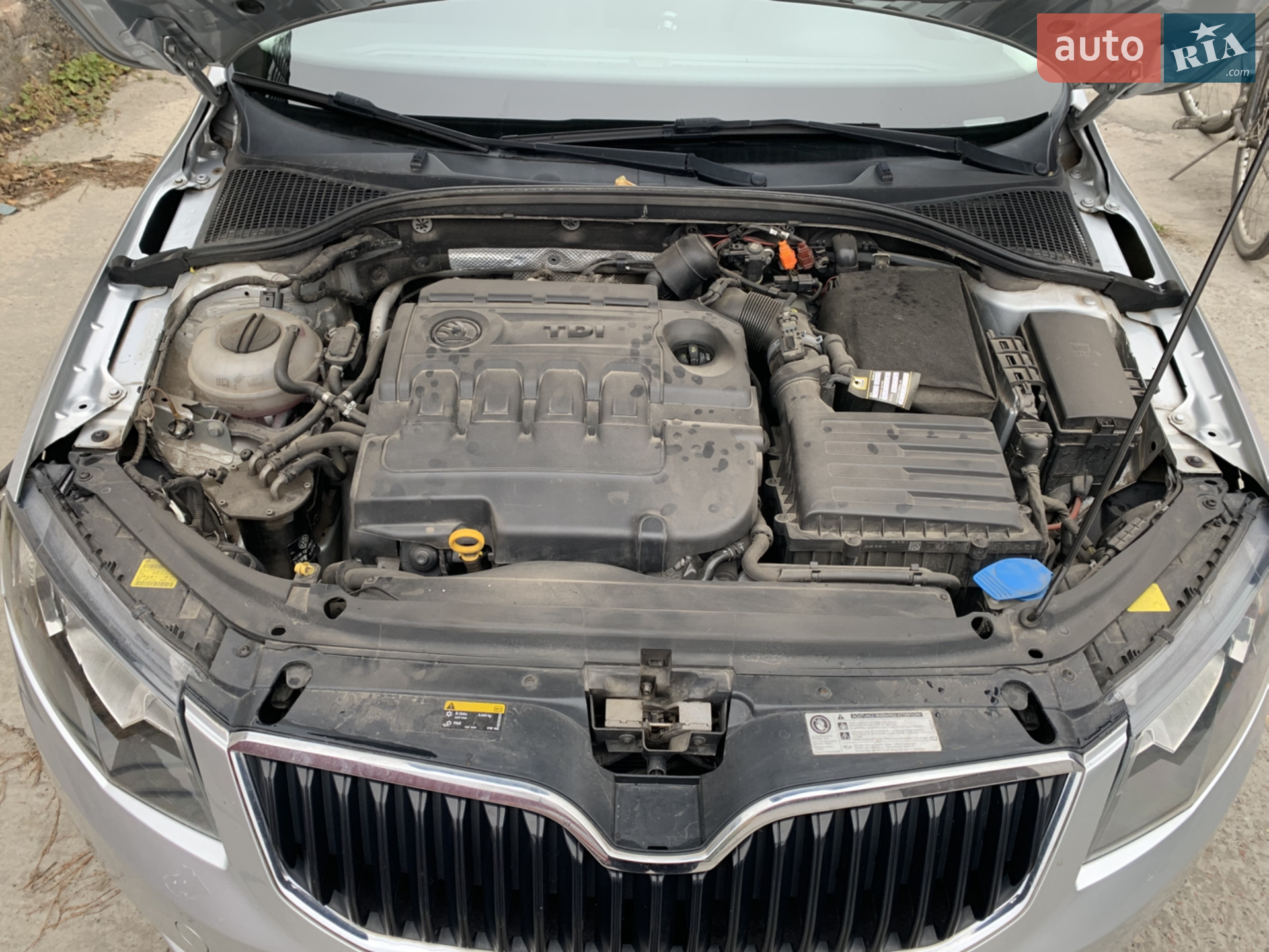 2014 Skoda Octavia - мініатюра 8