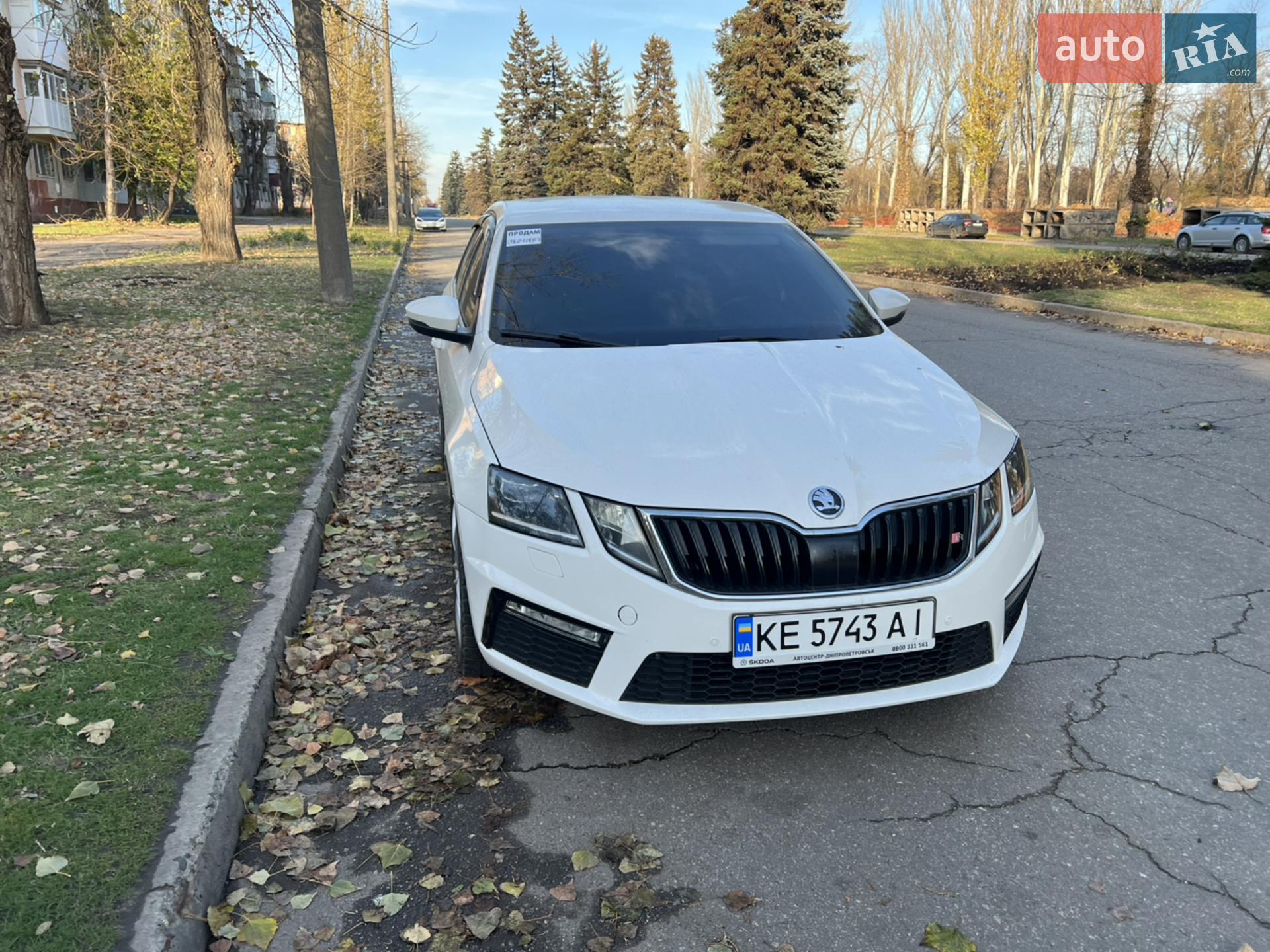 2017 Skoda Octavia - мініатюра 4