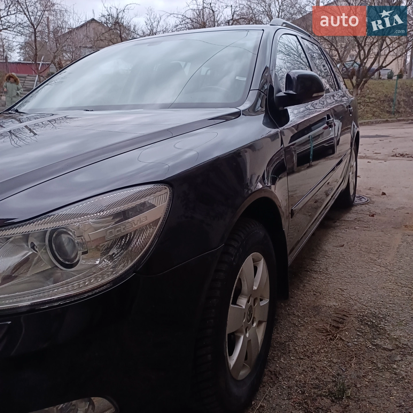 Skoda Octavia 2009 VIN TMBGK61Z5A2014538 фото оголошення 5 з 50