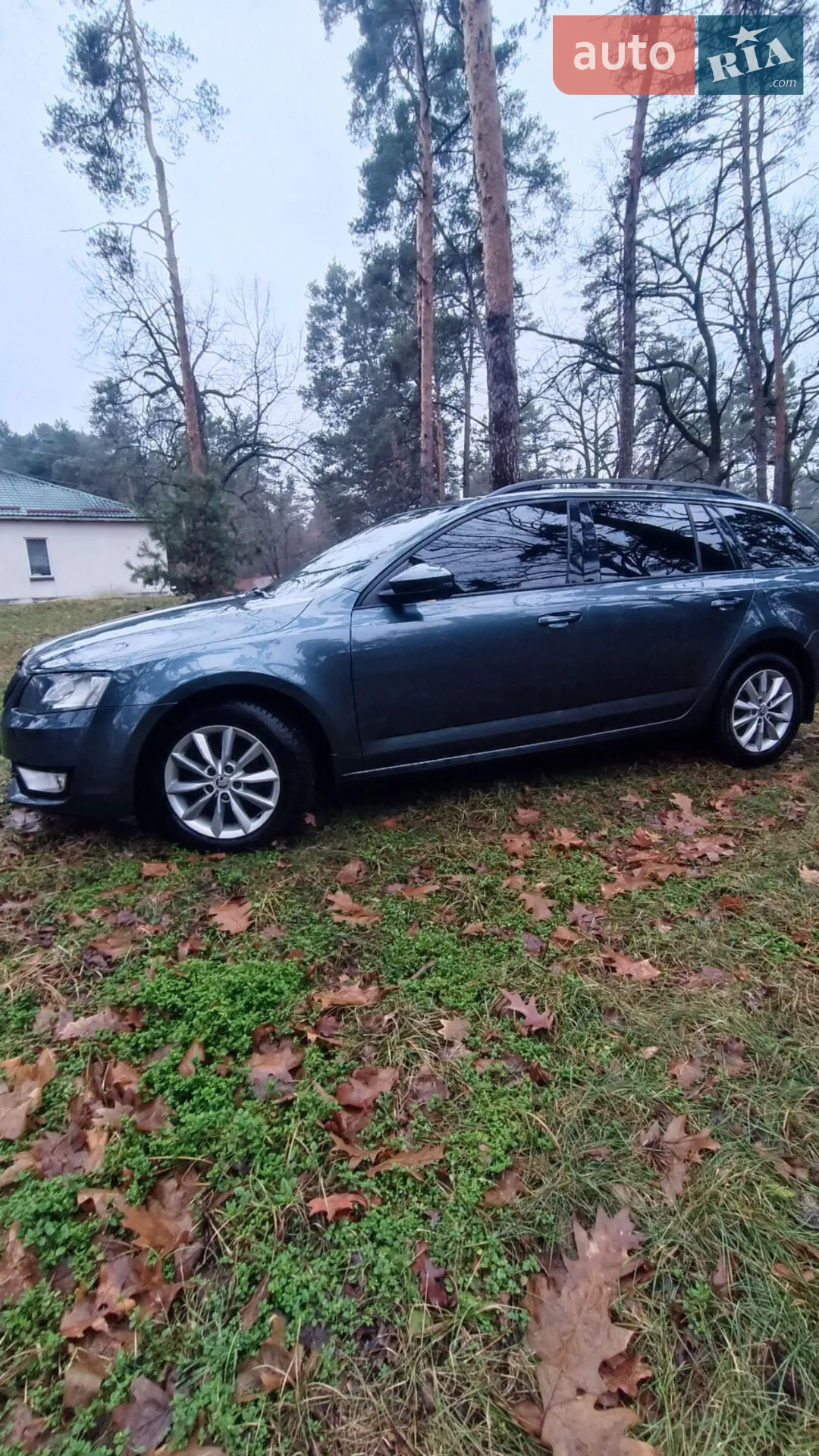2016 Skoda Octavia - мініатюра 5