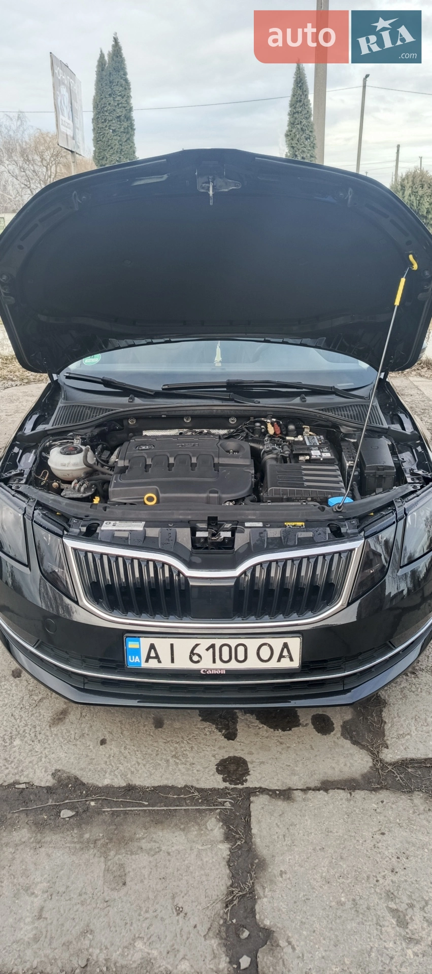 2018 Skoda Octavia - мініатюра 4