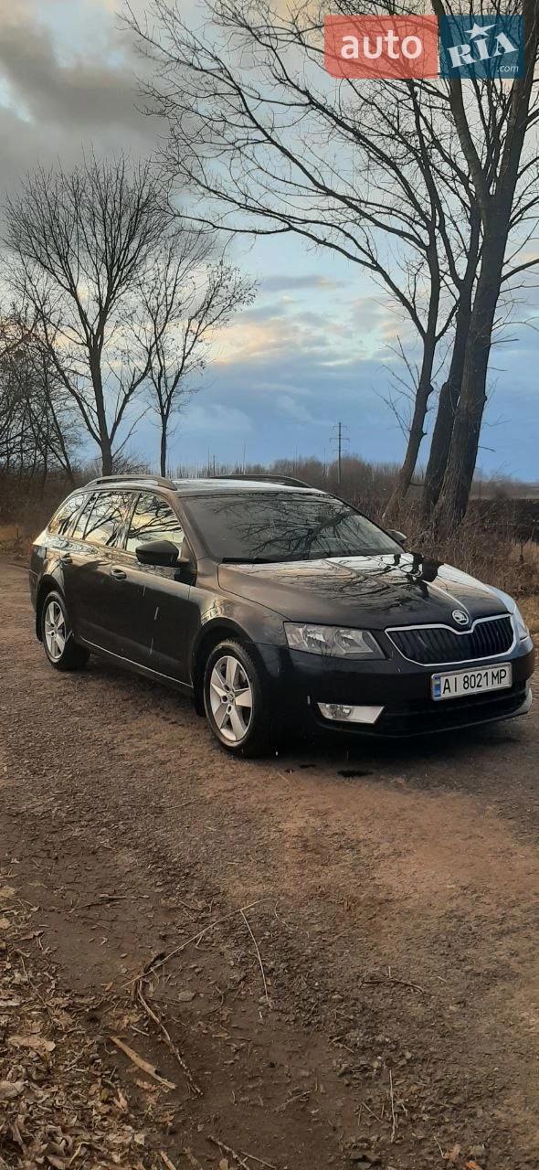 2014 Skoda Octavia - мініатюра 27