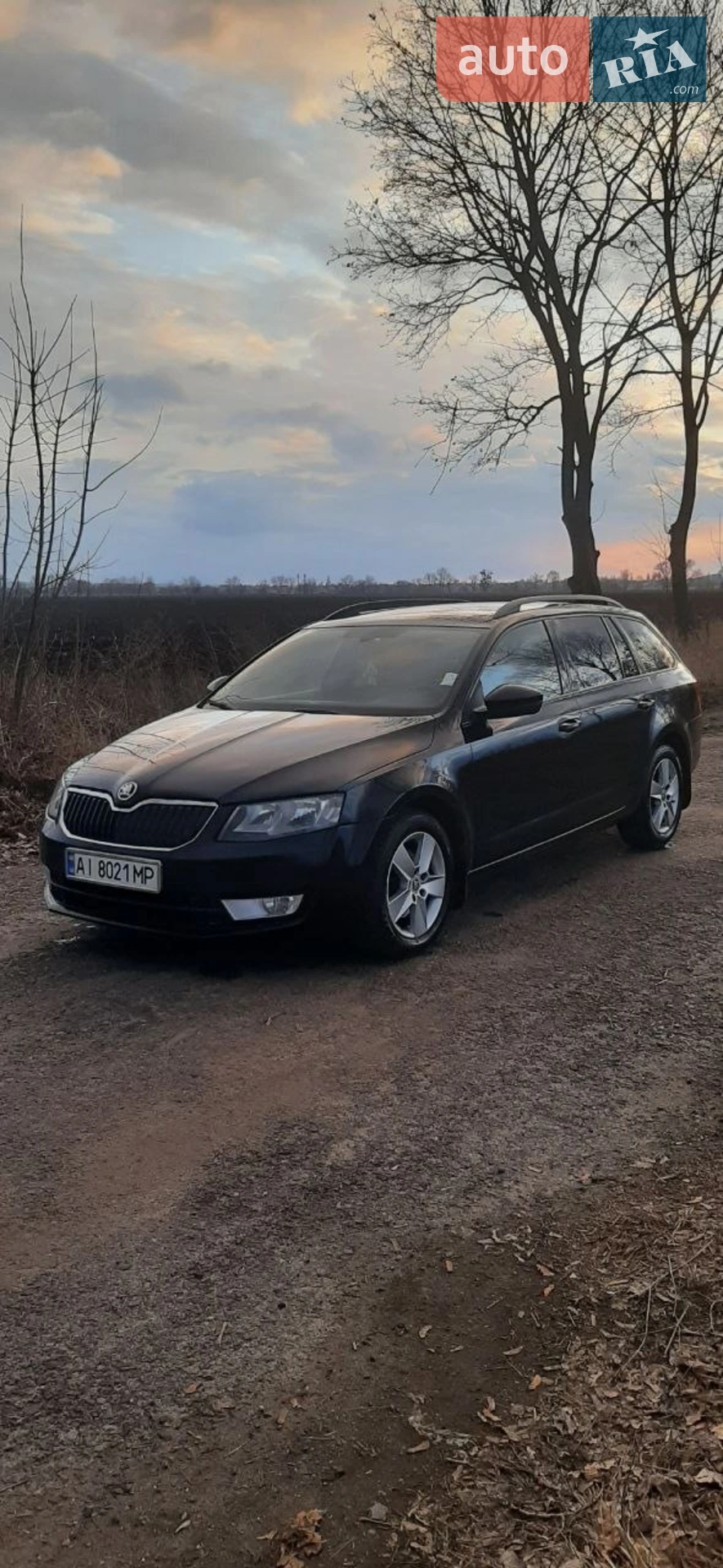 2013 Skoda Octavia - мініатюра 6