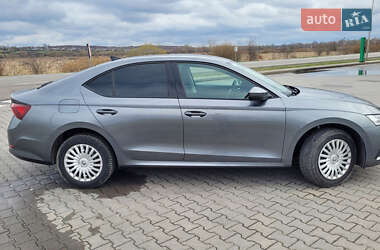 Лифтбек Skoda Octavia 2023 в 