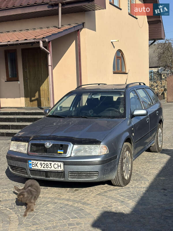 Универсал Skoda Octavia 2002 в Костополе