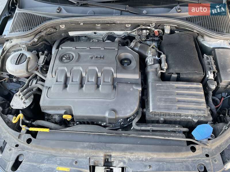 Універсал Skoda Octavia 2015 в Звягелі