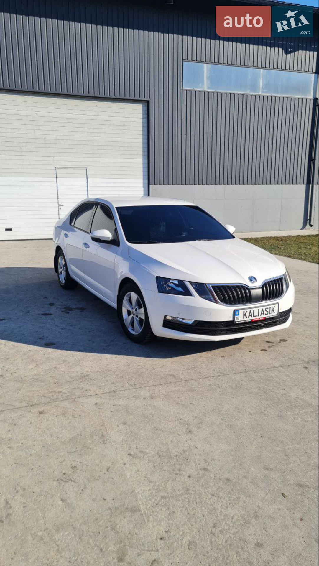 2019 Skoda Octavia - мініатюра 3