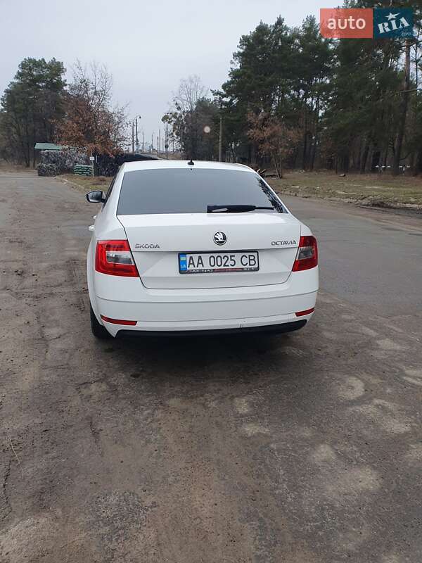 Лифтбек Skoda Octavia 2017 в Киеве фото 14 Лифтбек Skoda Octavia 2017 в Киеве