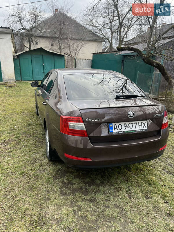 Ліфтбек Skoda Octavia 2016 в Мукачевому