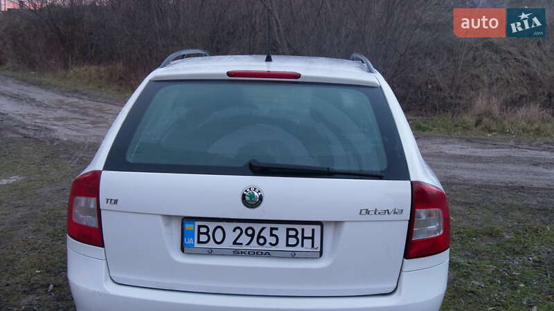 Універсал Skoda Octavia 2011 в Бережанах