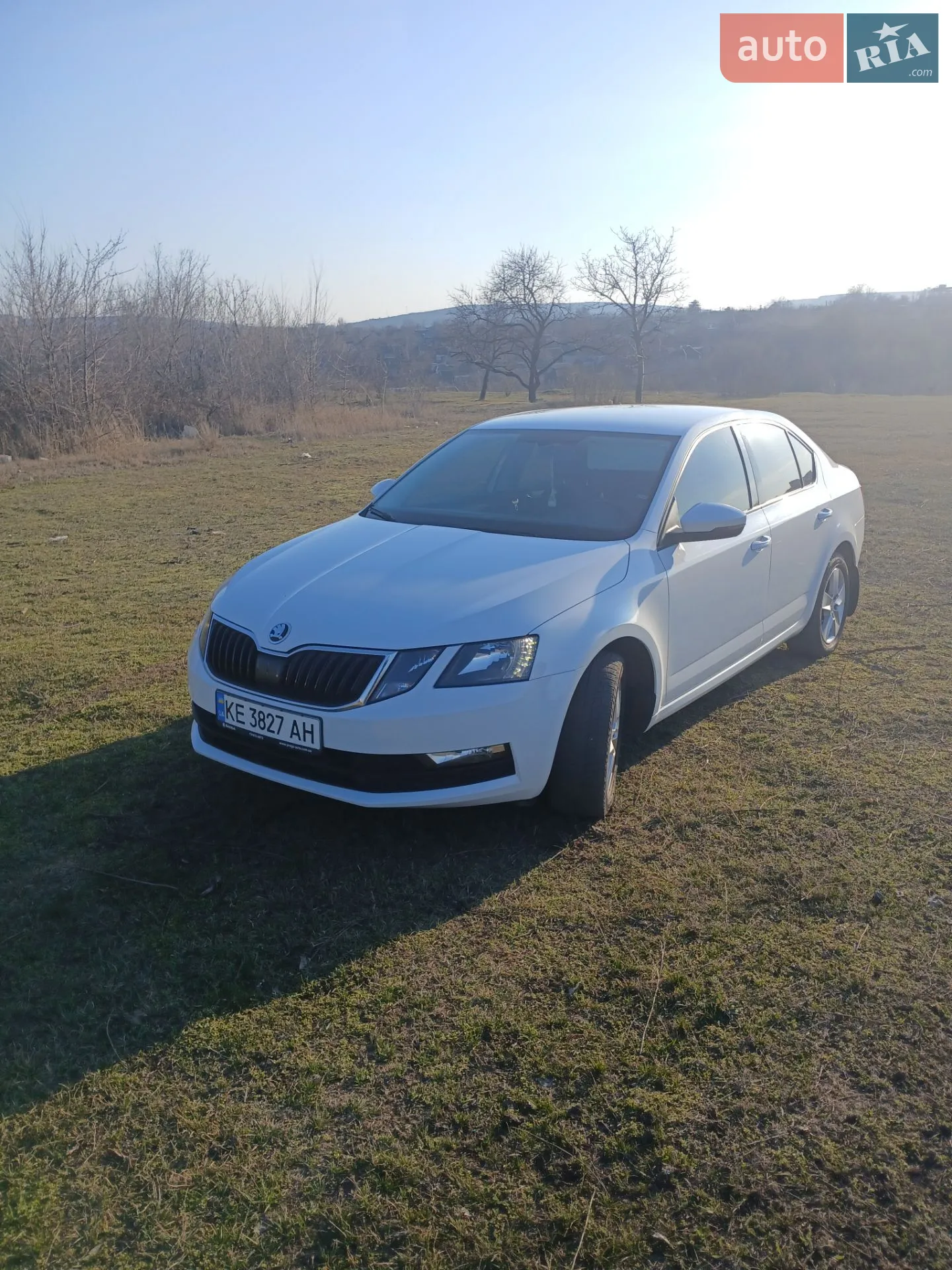 2017 Skoda Octavia - фото 1