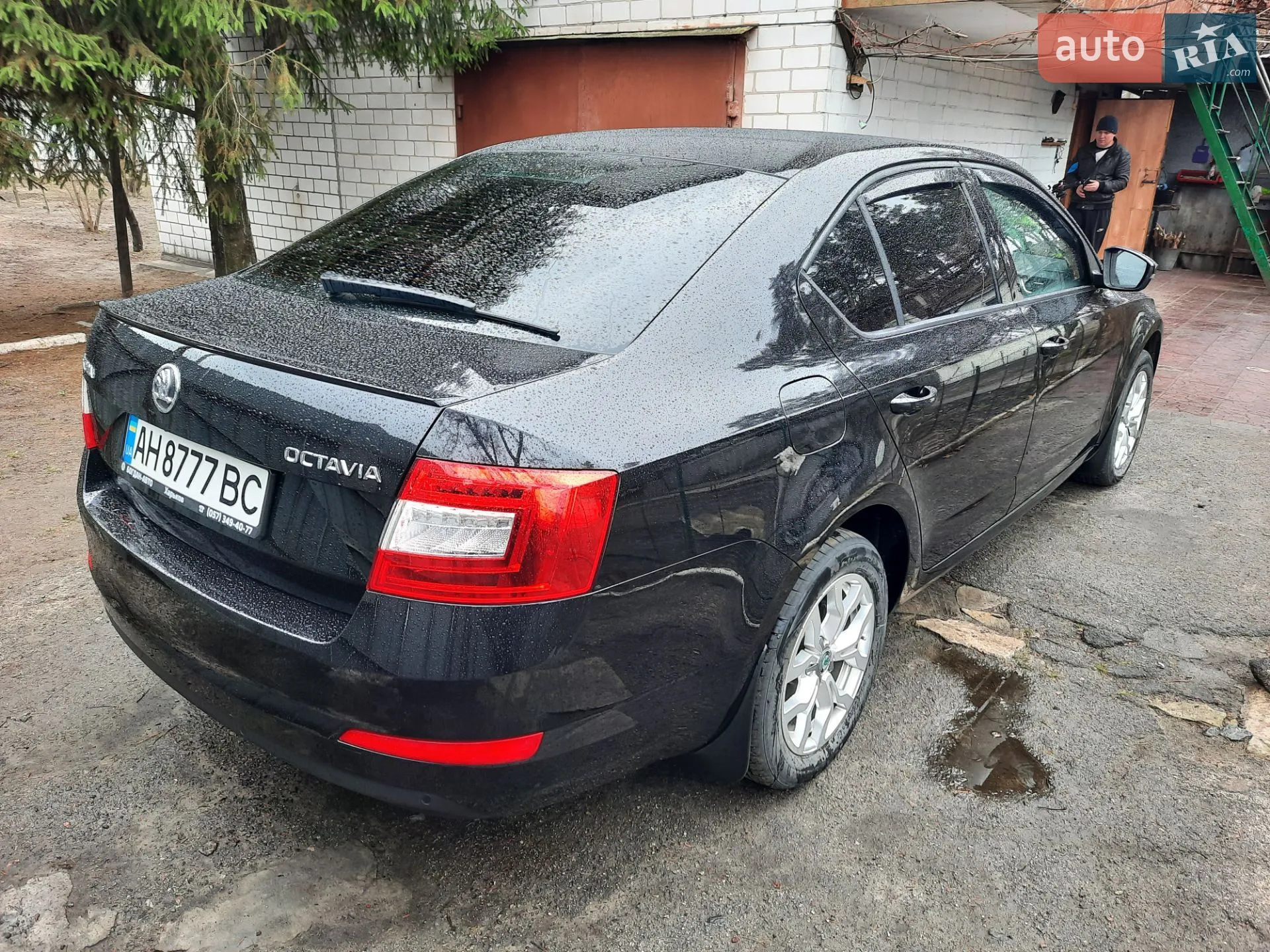 2014 Skoda Octavia - мініатюра 4