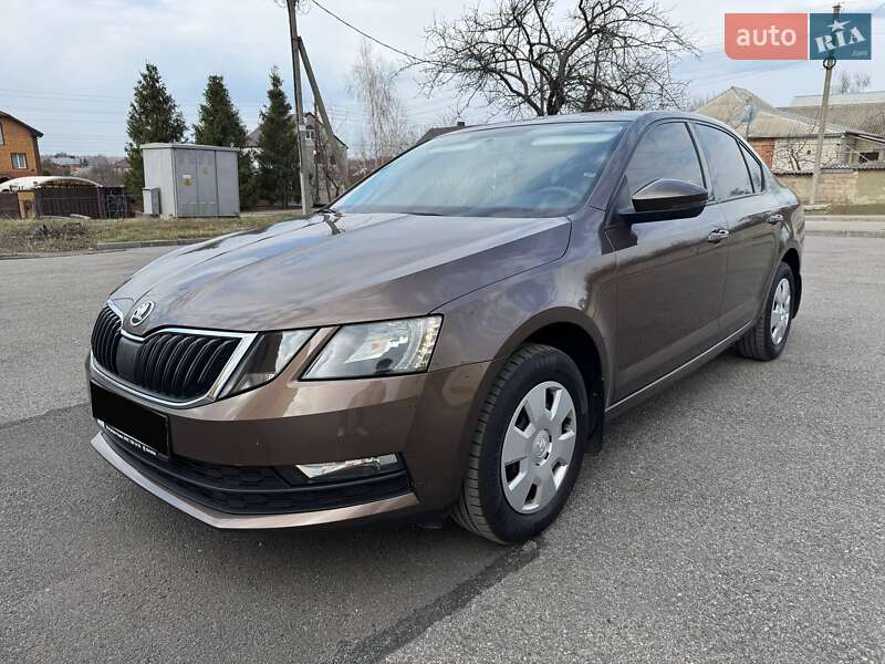Лифтбек Skoda Octavia 2019 в 