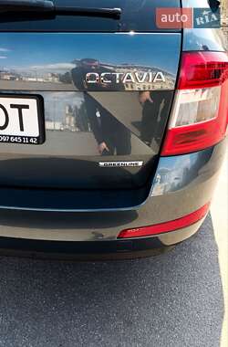 Універсал Skoda Octavia 2015 в 