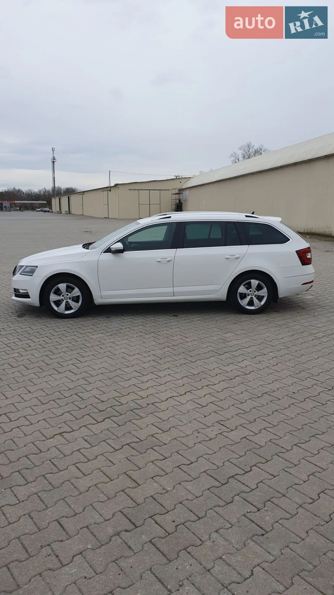 2019 Skoda Octavia - мініатюра 8
