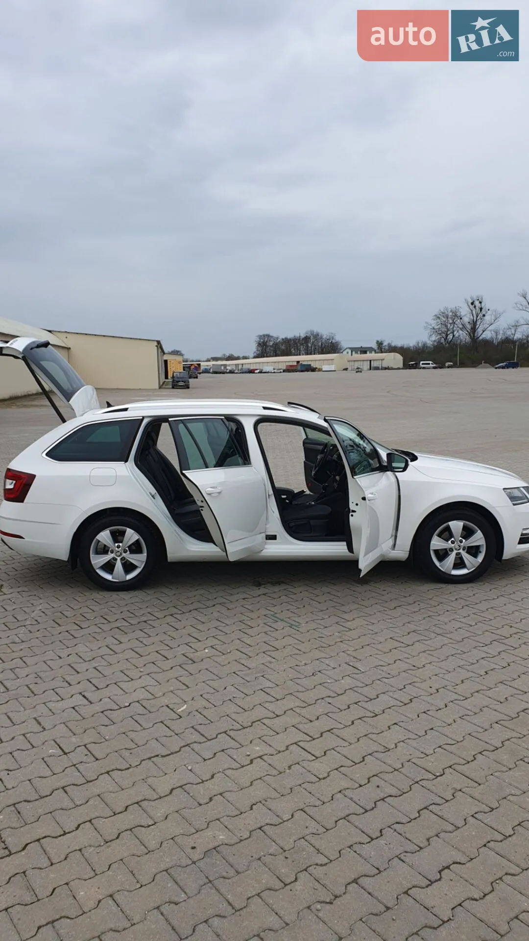 2019 Skoda Octavia - мініатюра 13