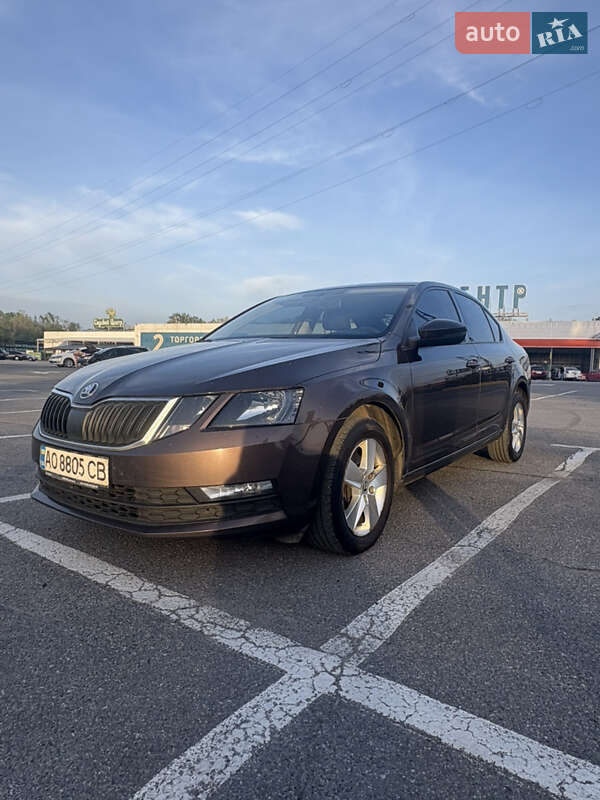 Лифтбек Skoda Octavia 2017 в 