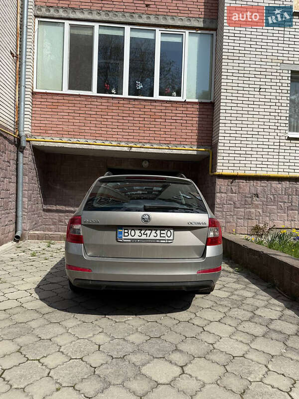 Универсал Skoda Octavia 2014 в Чорткове