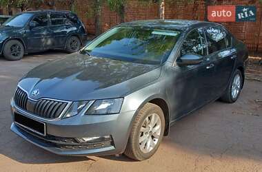 Лифтбек Skoda Octavia 2020 в Кривом Роге