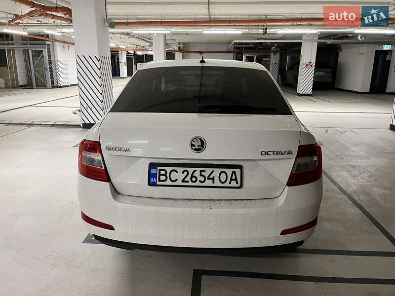 Лифтбек Skoda Octavia 2013 в Дрогобыче