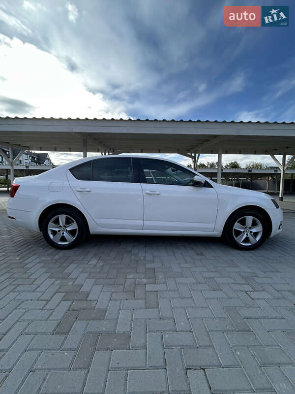 Лифтбек Skoda Octavia 2018 в Киеве фото 5 Лифтбек Skoda Octavia 2018 в Киеве