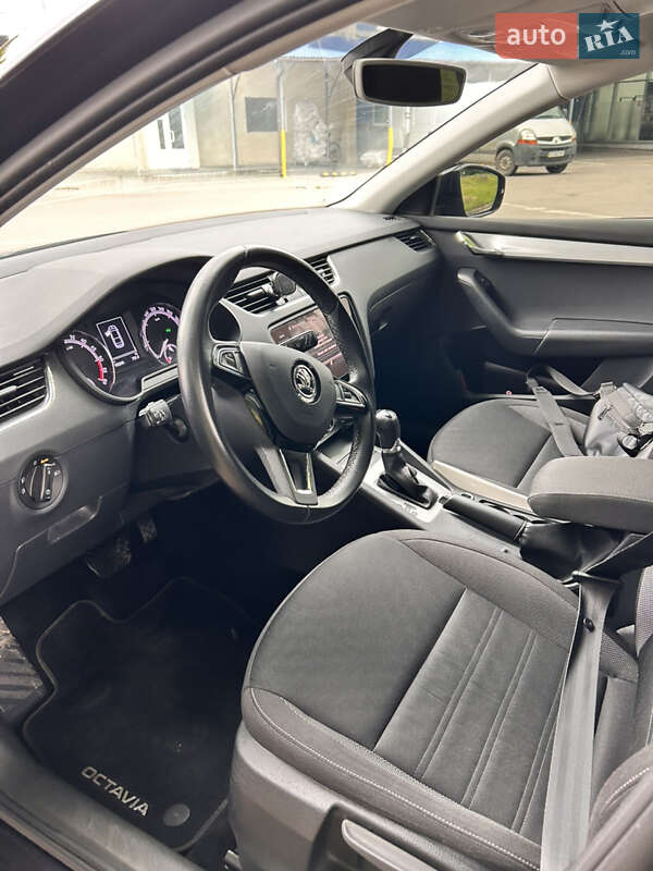 Лифтбек Skoda Octavia 2019 в Ивано-Франковске