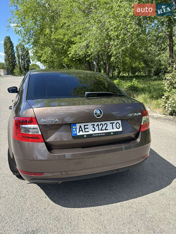 Лифтбек Skoda Octavia 2018 в Днепре фото 2 Лифтбек Skoda Octavia 2018 в Днепре