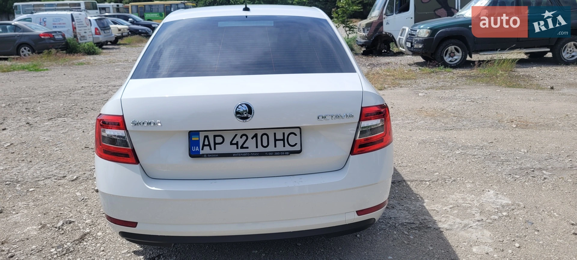 2019 Skoda Octavia - мініатюра 7