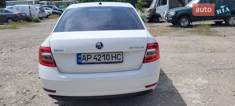 Ліфтбек Skoda Octavia 2019 в Запоріжжі