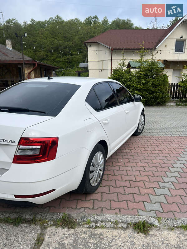Лифтбек Skoda Octavia 2018 в Шепетовке
