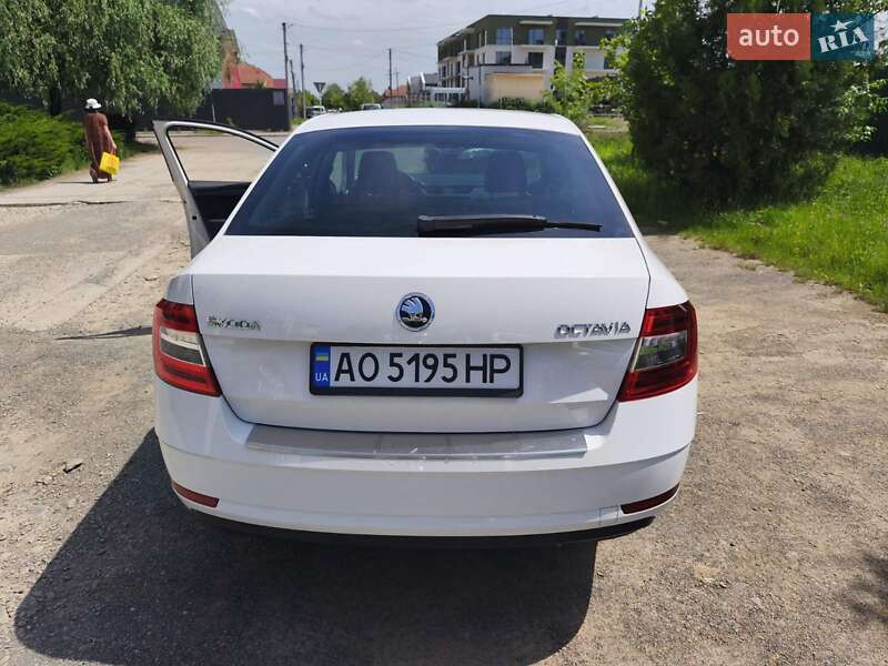 Лифтбек Skoda Octavia 2017 в Ужгороде