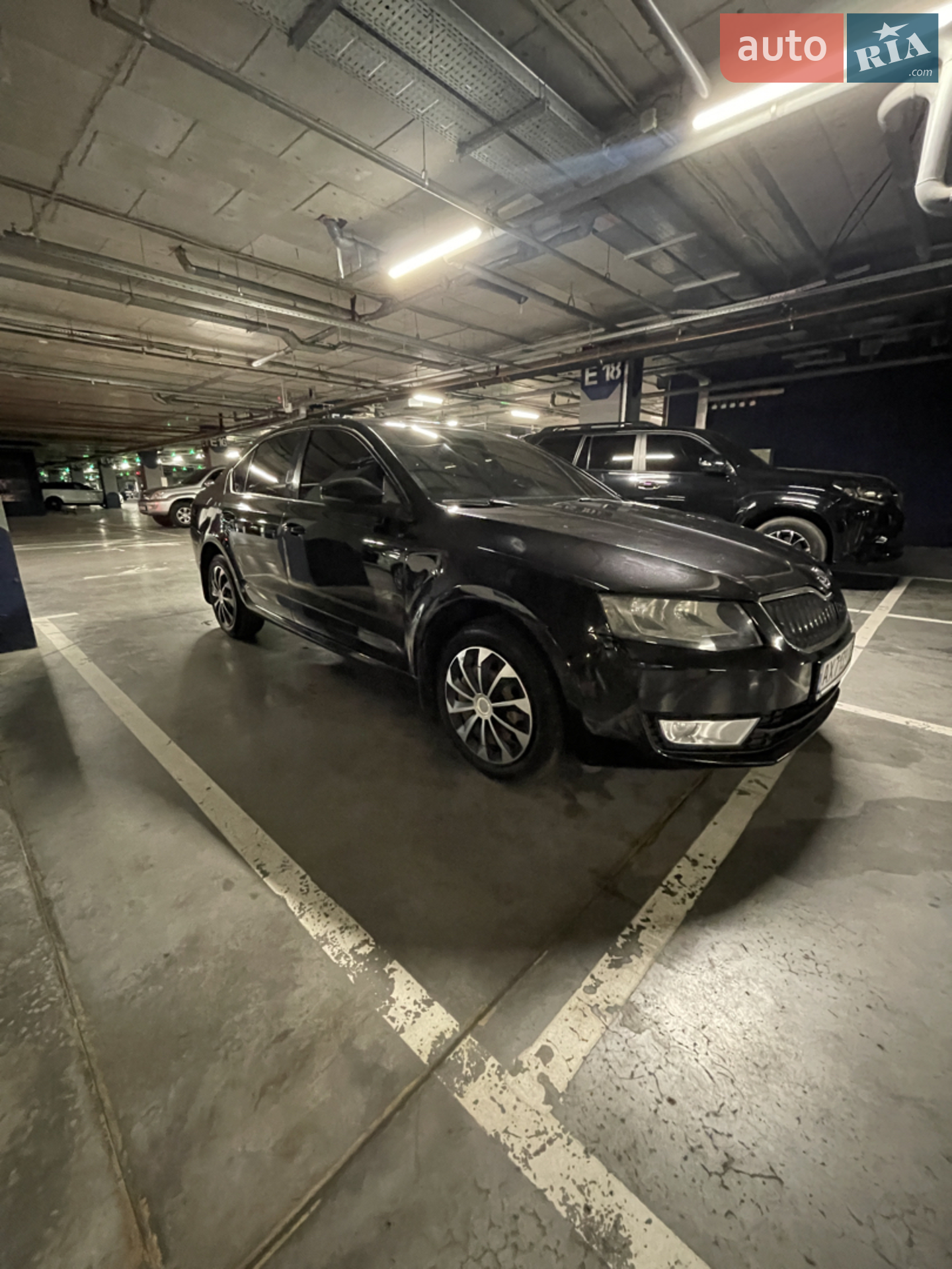 2016 Skoda Octavia - мініатюра 11