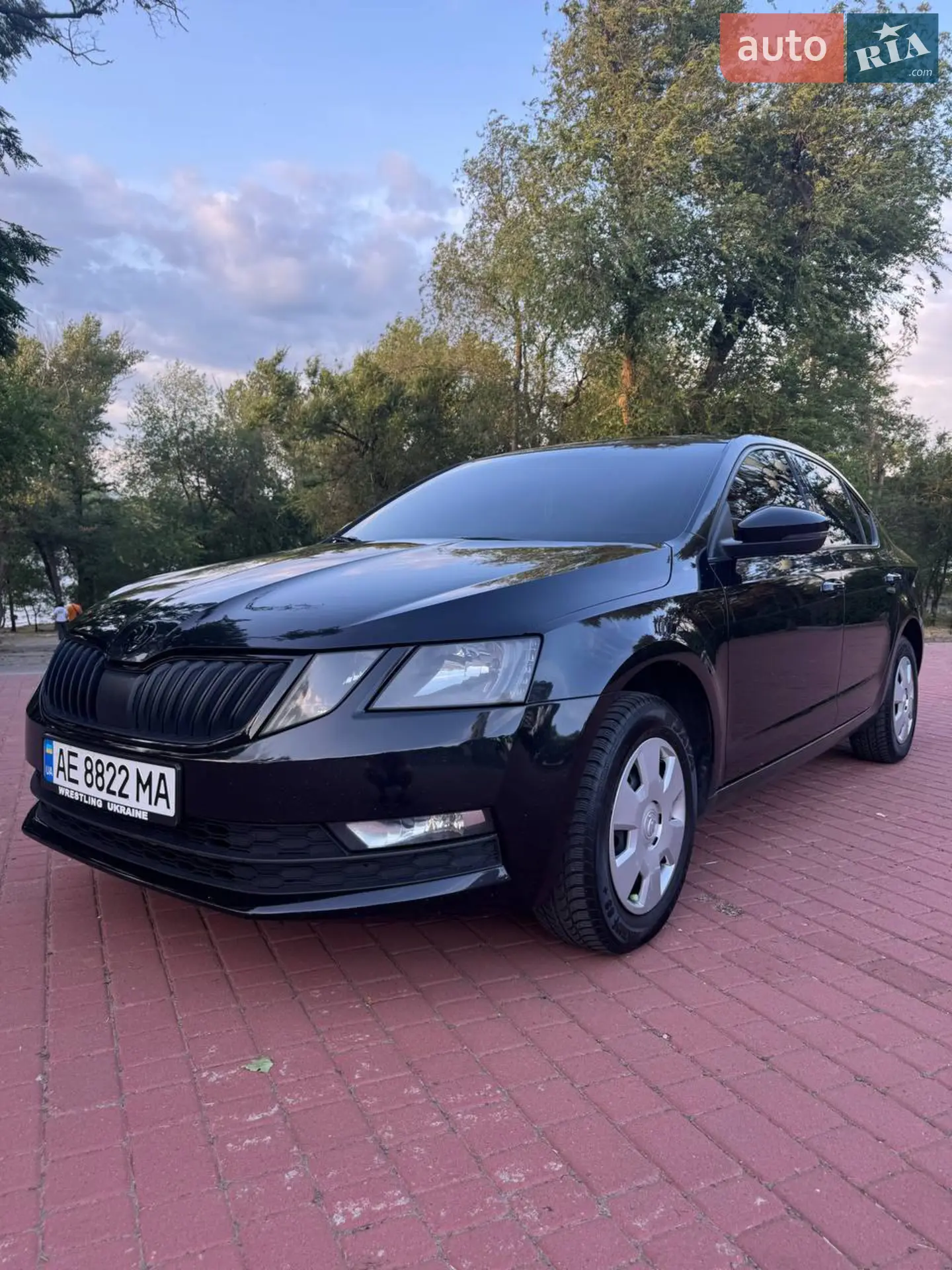 2019 Skoda Octavia - фото 1