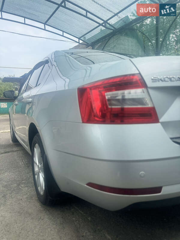 Лифтбек Skoda Octavia 2018 в Чутове фото 10 Лифтбек Skoda Octavia 2018 в Чутове