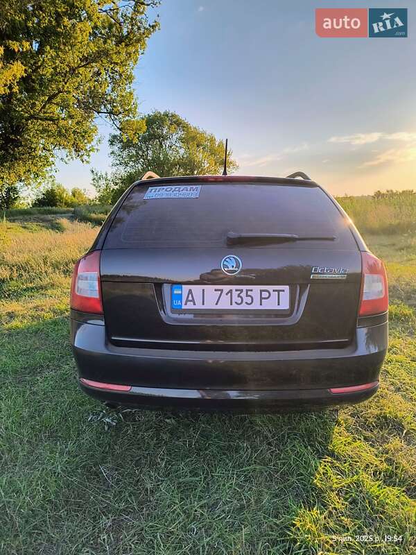 Універсал Skoda Octavia 2012 в Краснограді