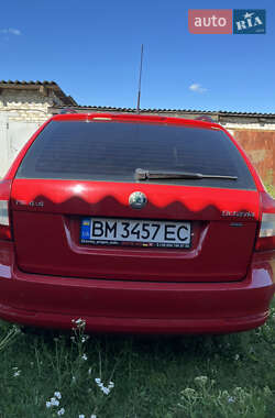 Универсал Skoda Octavia 2010 в Шостке