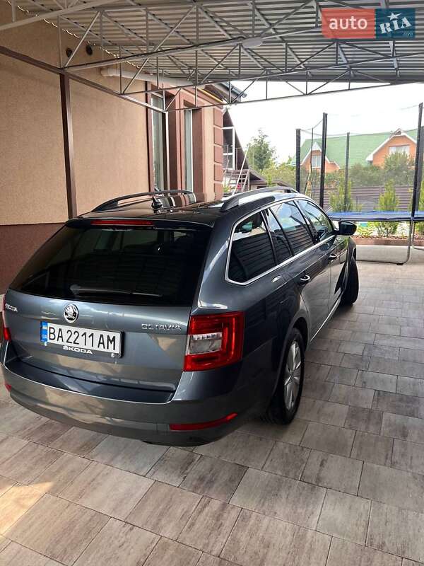 Универсал Skoda Octavia 2017 в Кропивницком