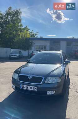 Универсал Skoda Octavia 2004 в Млинове