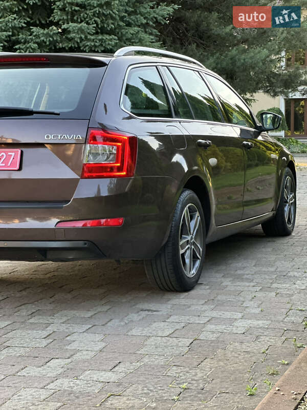Универсал Skoda Octavia 2014 в Сарнах