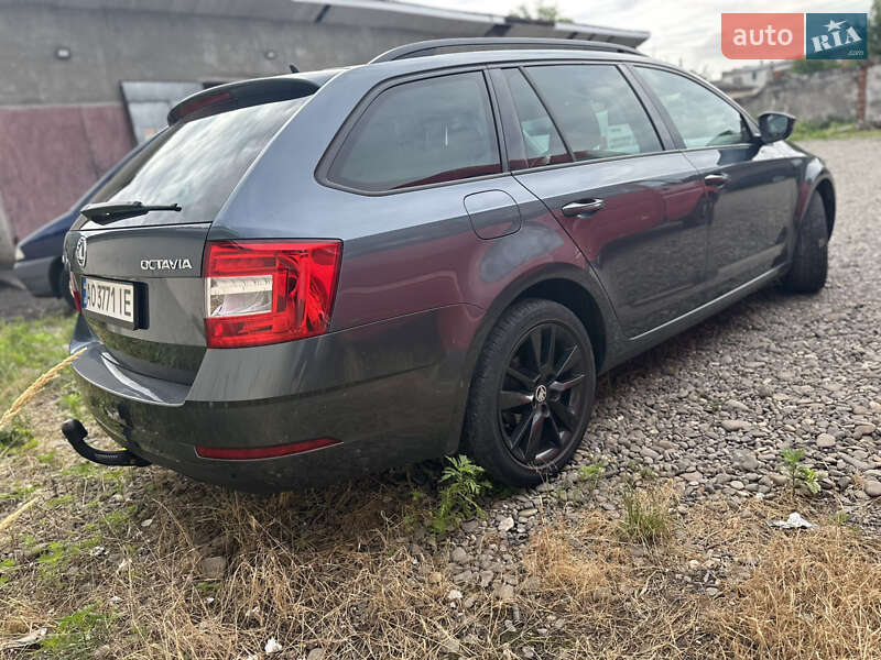 Універсал Skoda Octavia 2019 в Виноградові