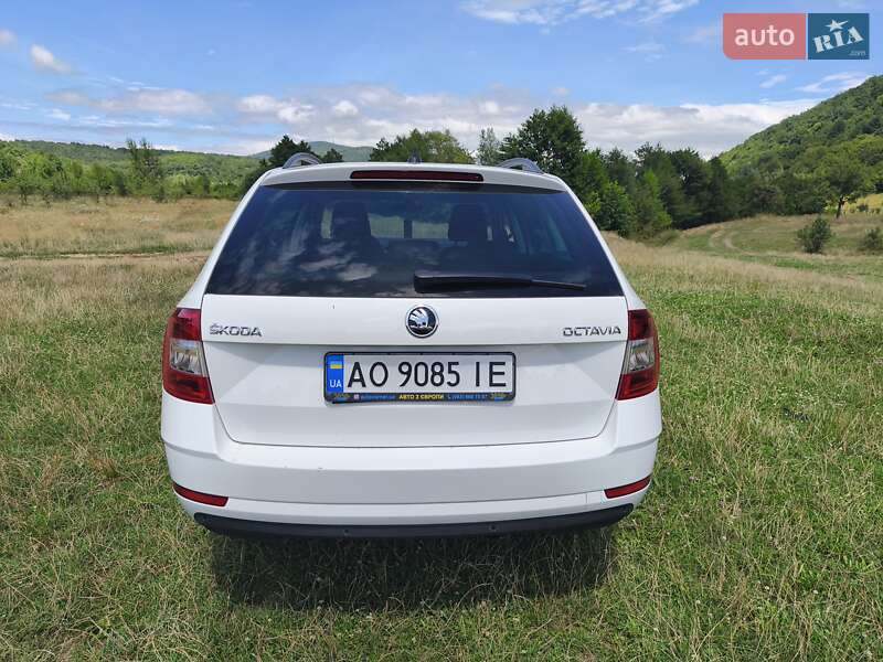Универсал Skoda Octavia 2019 в Ужгороде