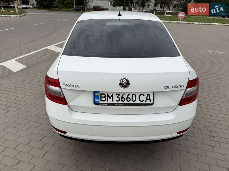 Лифтбек Skoda Octavia 2019 в Сумах