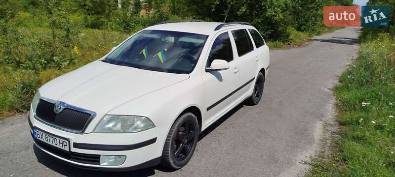 Универсал Skoda Octavia 2005 в Изяславе