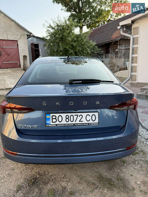 Лифтбек Skoda Octavia 2020 в Тернополе фото 9 Лифтбек Skoda Octavia 2020 в Тернополе